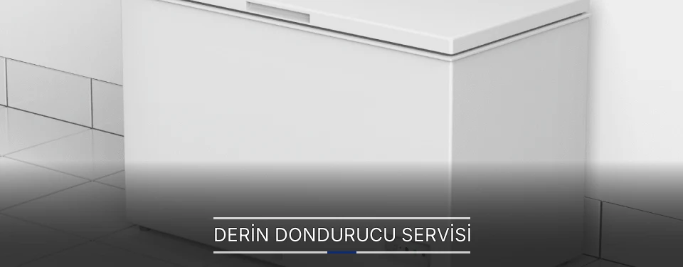 Derin Dondurucu Servisi