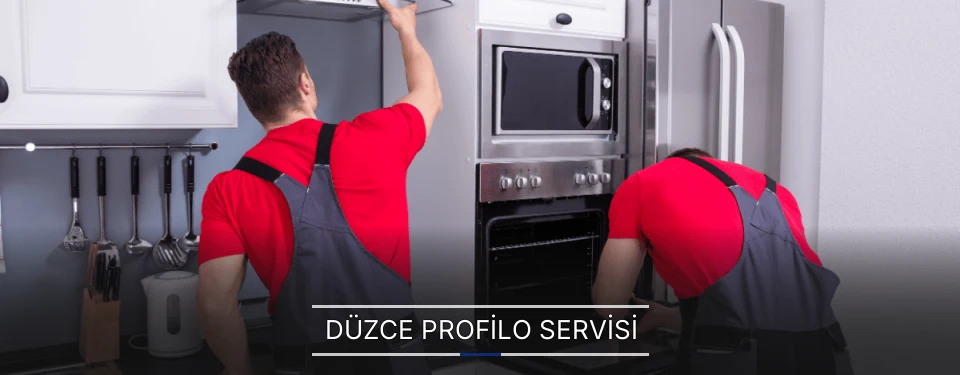 Düzce Profilo Servisi
