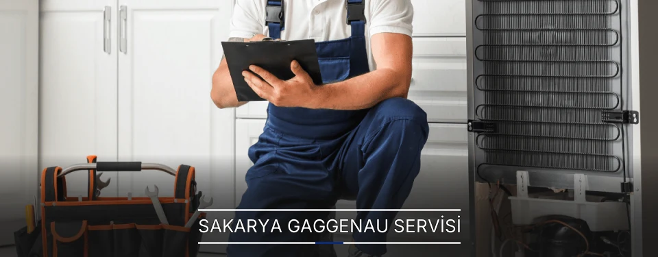 Sakarya Gaggenau Servisi