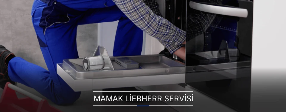 Mamak Liebherr Servisi Mamak Liebherr Servisi