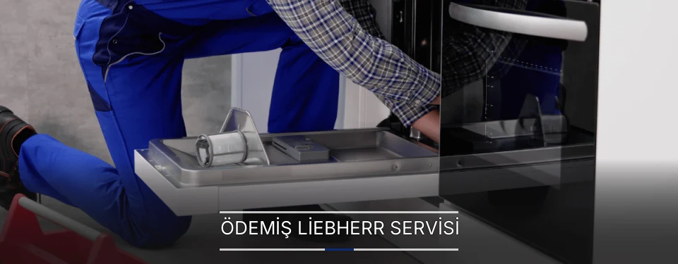 Ödemiş Liebherr Servisi Ödemiş Liebherr Servisi